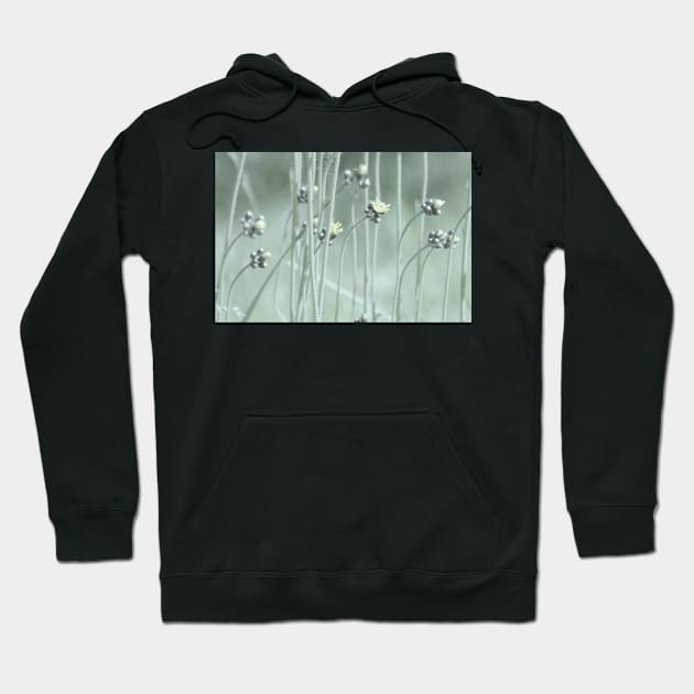 wildflowers Hoodie by LaurieMinor